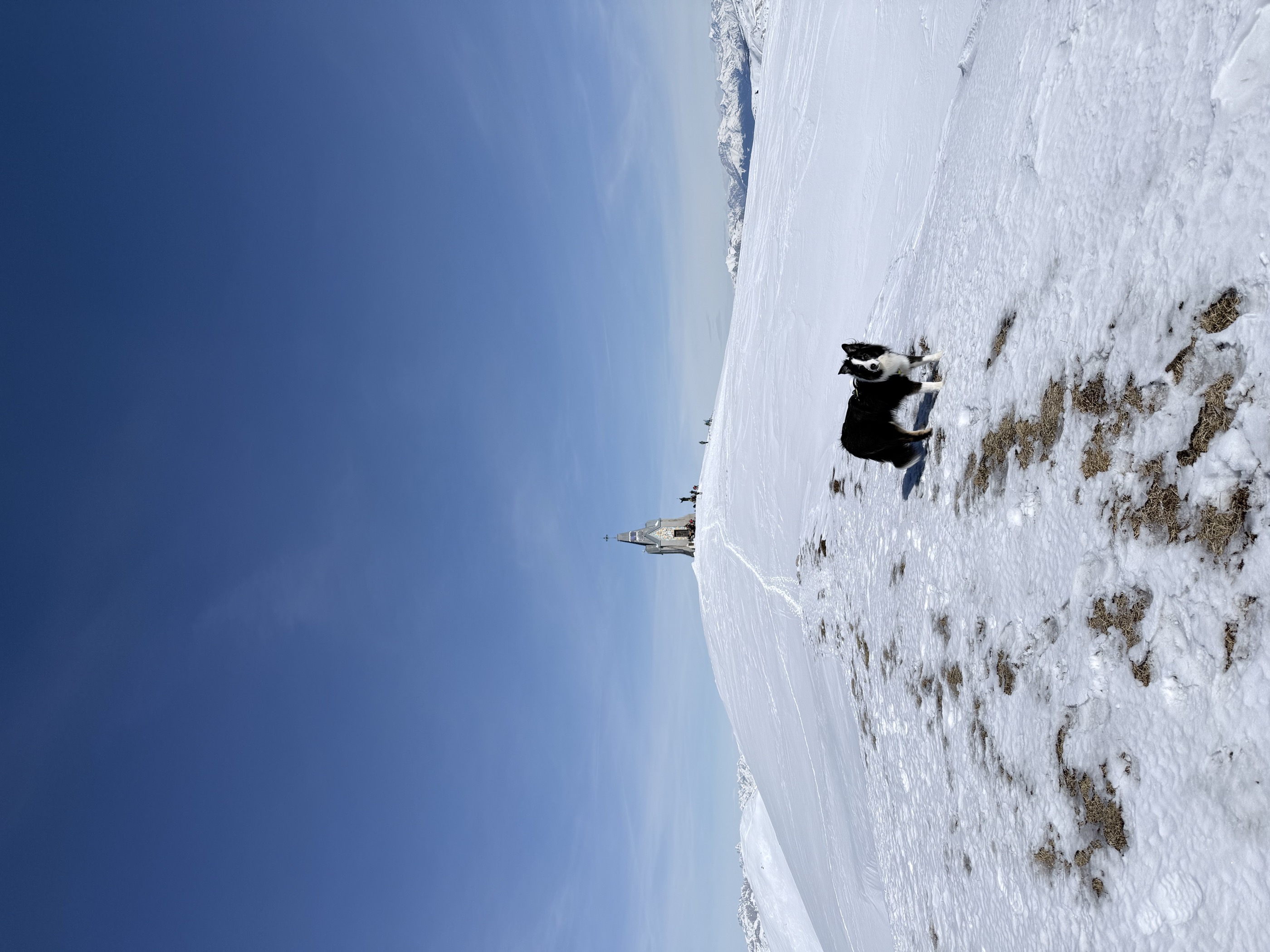 Monte Guglielmo