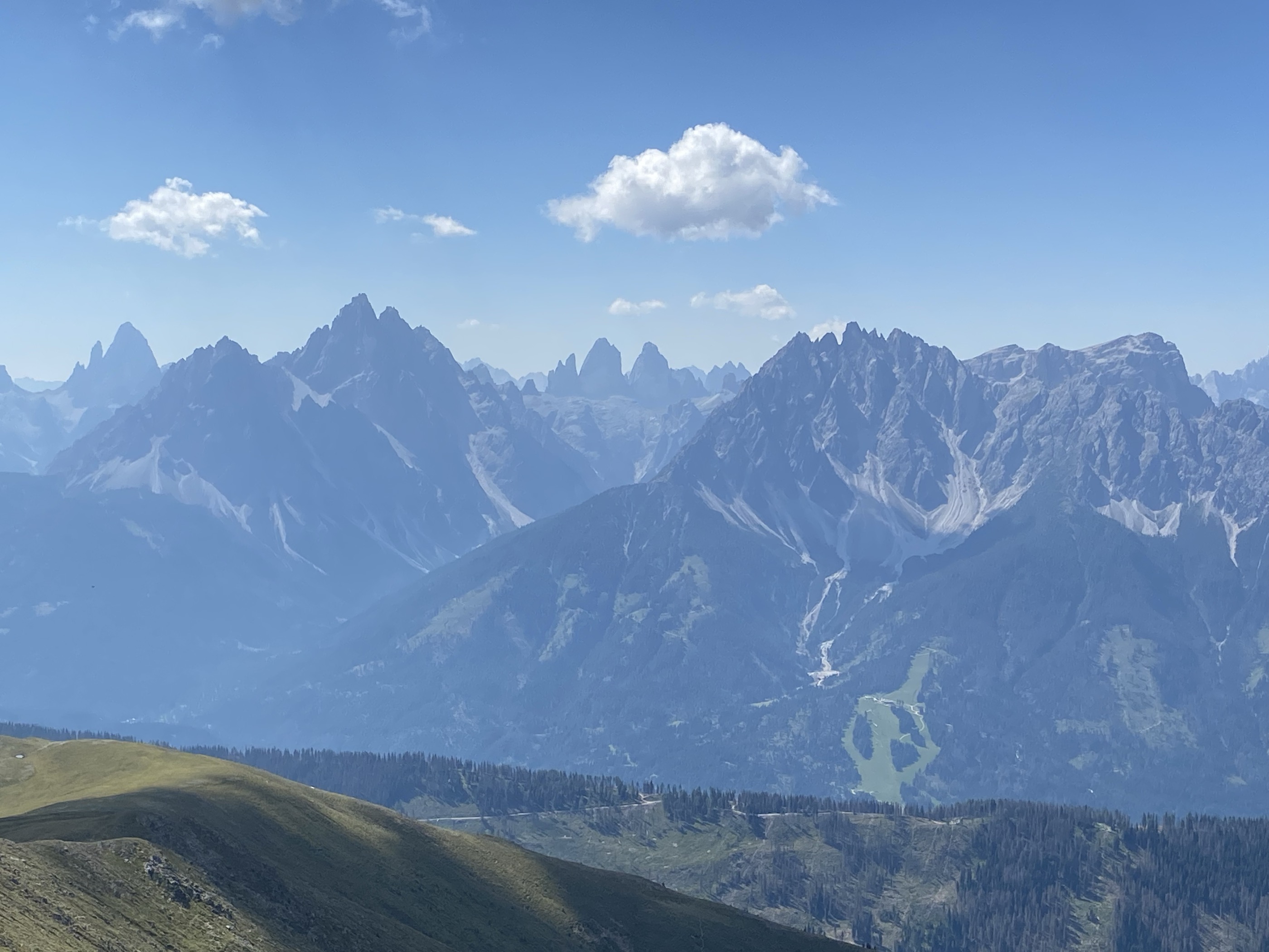 Spitzkinkele