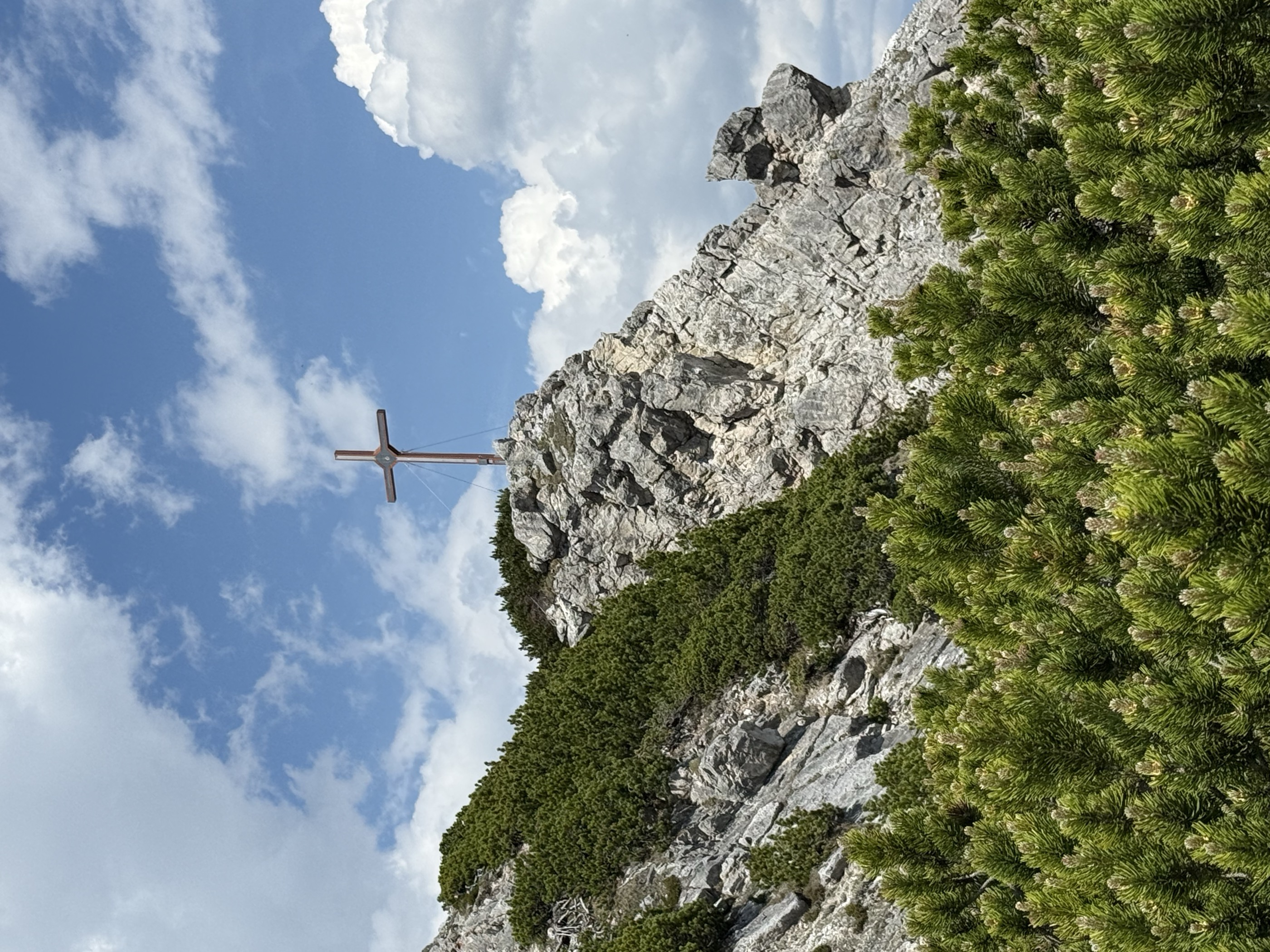Zwölferkopf