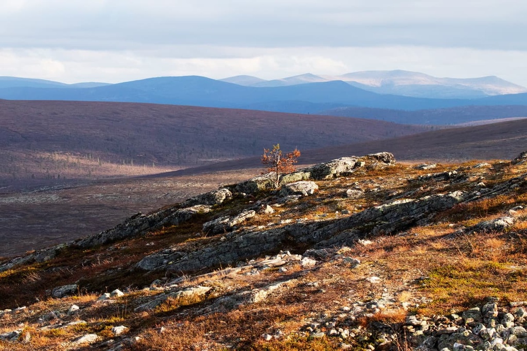 Hammastunturi Wilderness Area, Lapland