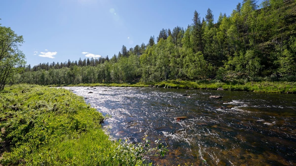 Hammastunturi Wilderness Area, Lapland