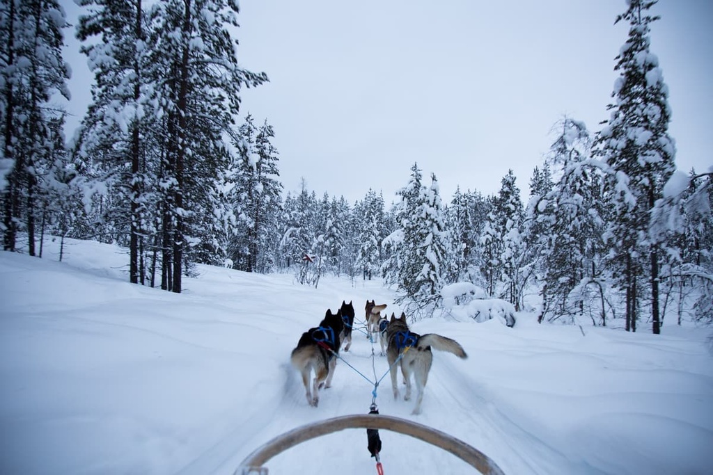 Hammastunturi Wilderness Area, Lapland