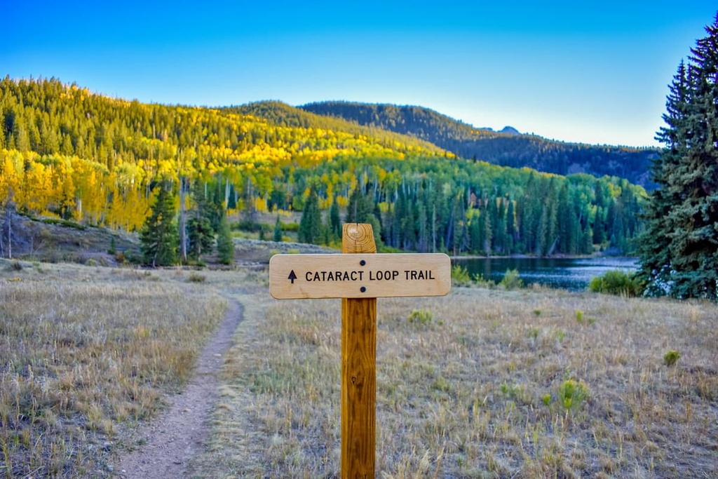 Handies Peak Wilderness Study Area, Colorado