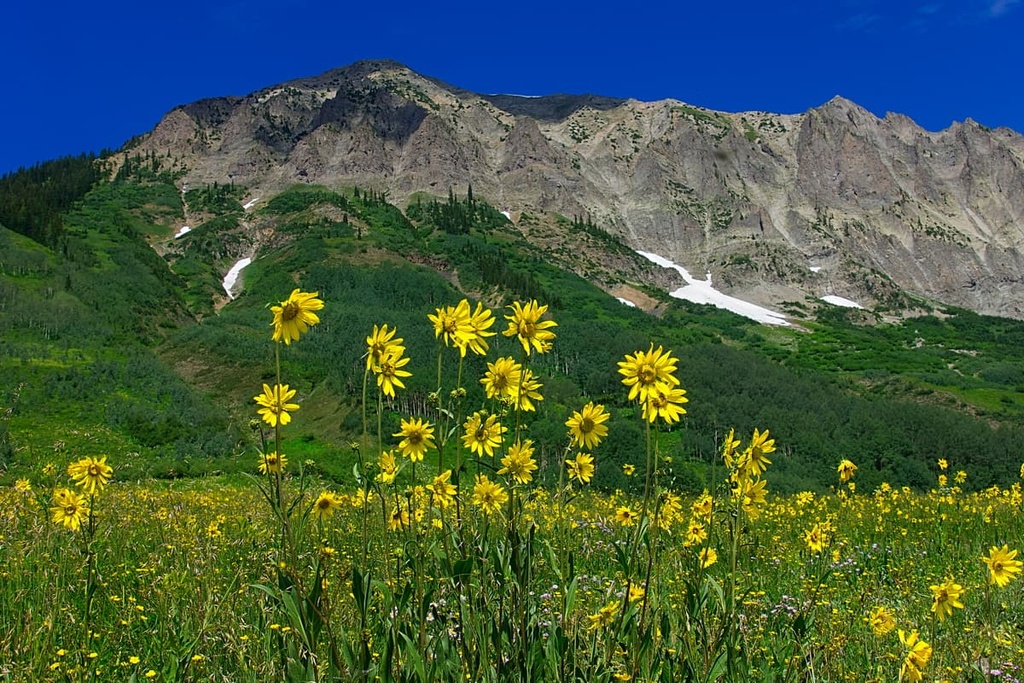 Handies Peak Wilderness Study Area, Colorado