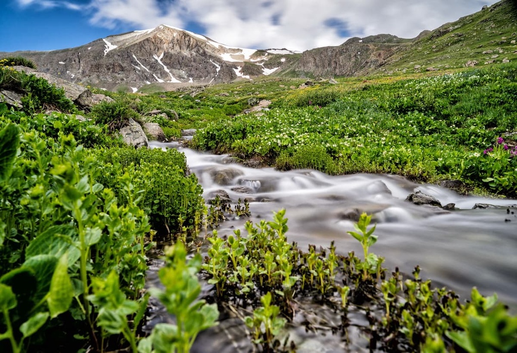 Handies Peak Wilderness Study Area, Colorado