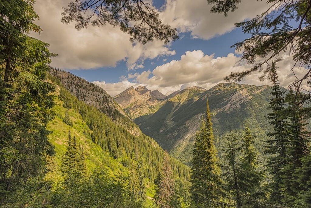 Fernie Ridge, Harrison Range, Canada