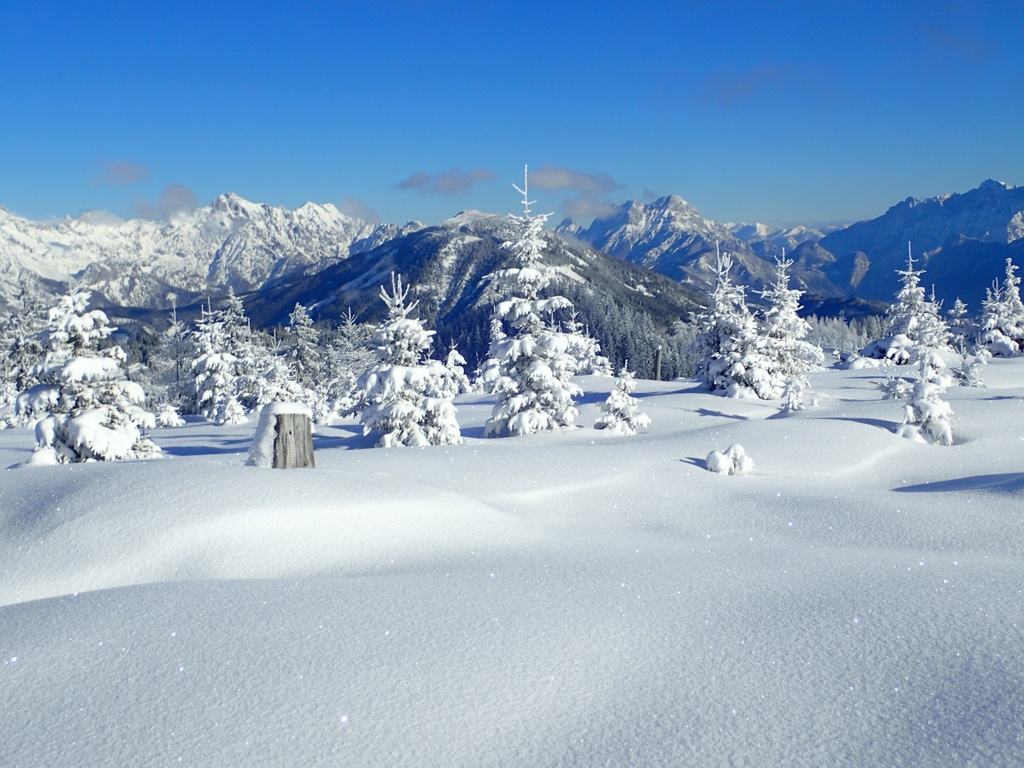 Photo №2 of Harting