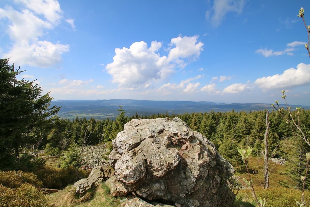 Bruchberg, Harz National Park, Germany