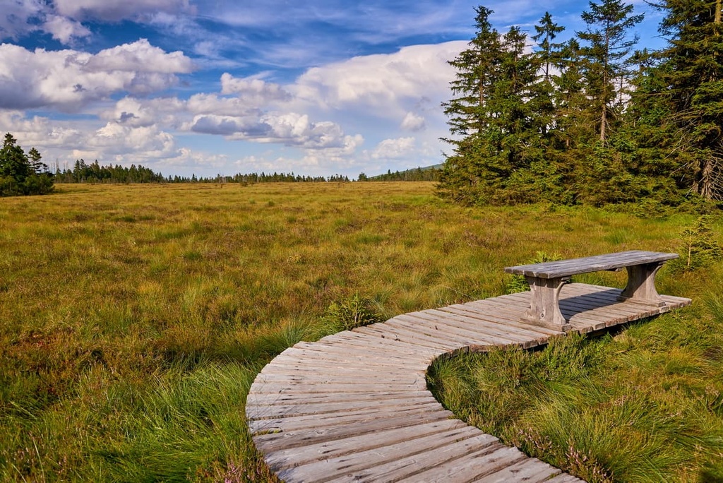 Rabenklippe, Harz National Park, Germany