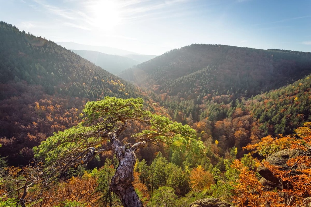 Harz National Park, Germany