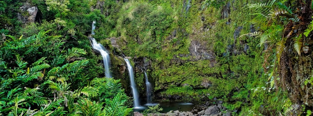 Hawaiian Islands Humpback Whale National Marine Sanctuary
