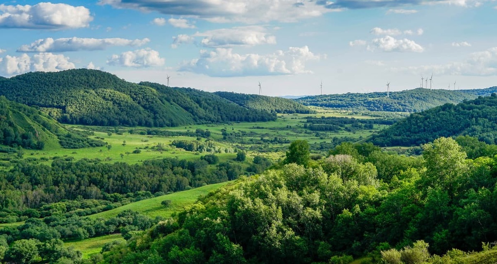 Saihanba National Forest Park, Hebei Province, China