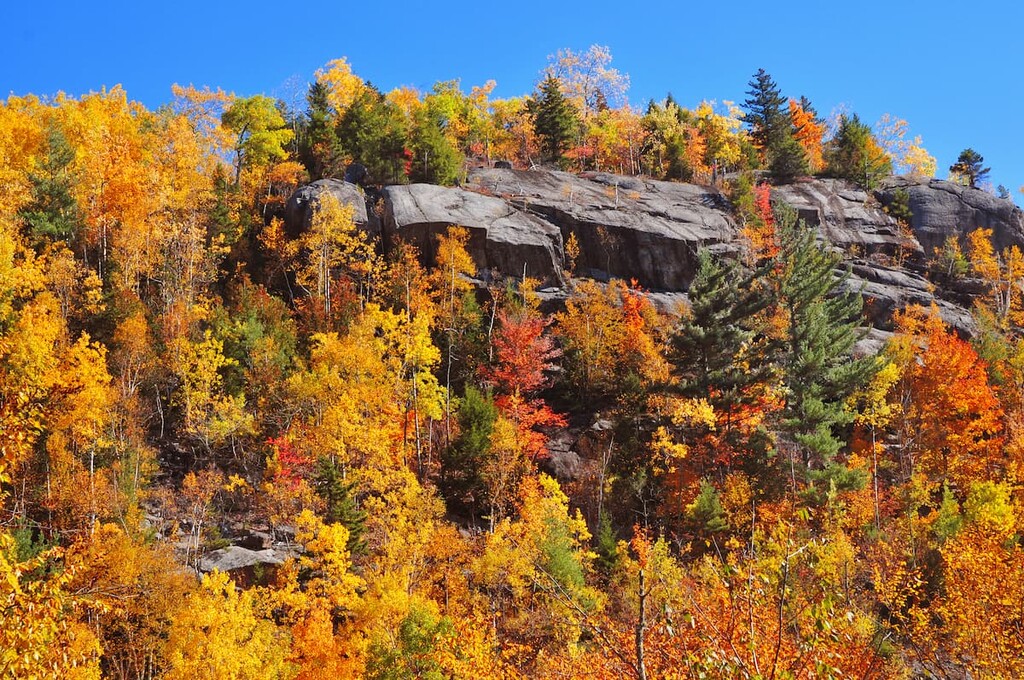 Autumn, High Peaks Wilderness, New York