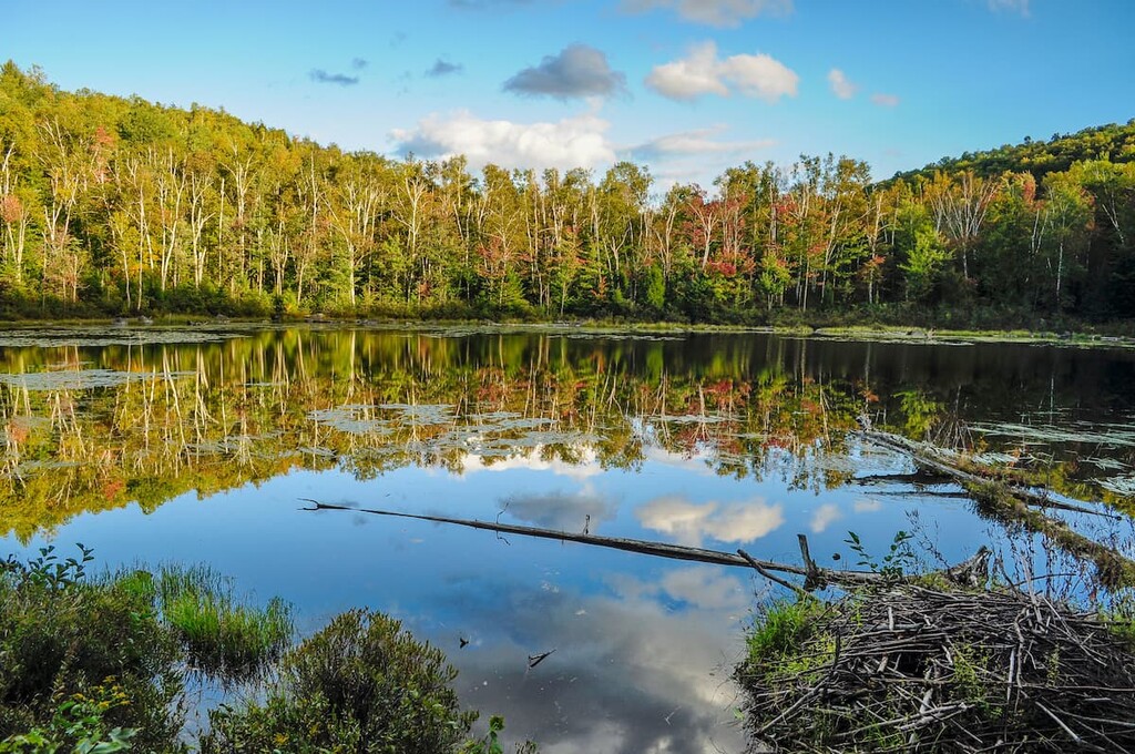 High Peaks Wilderness