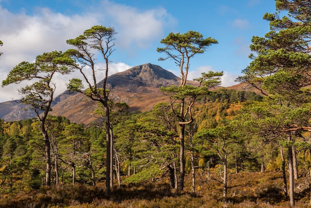 Sgurr na Lapaich in Glen Affric , Highland, Scotland