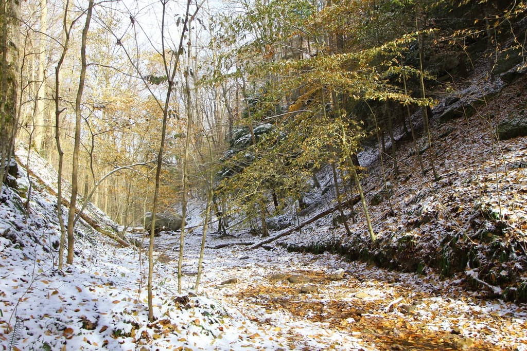 Hoosier National Forest, Indiana