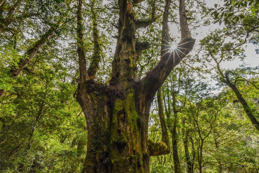  Hsinchu County, Taiwan