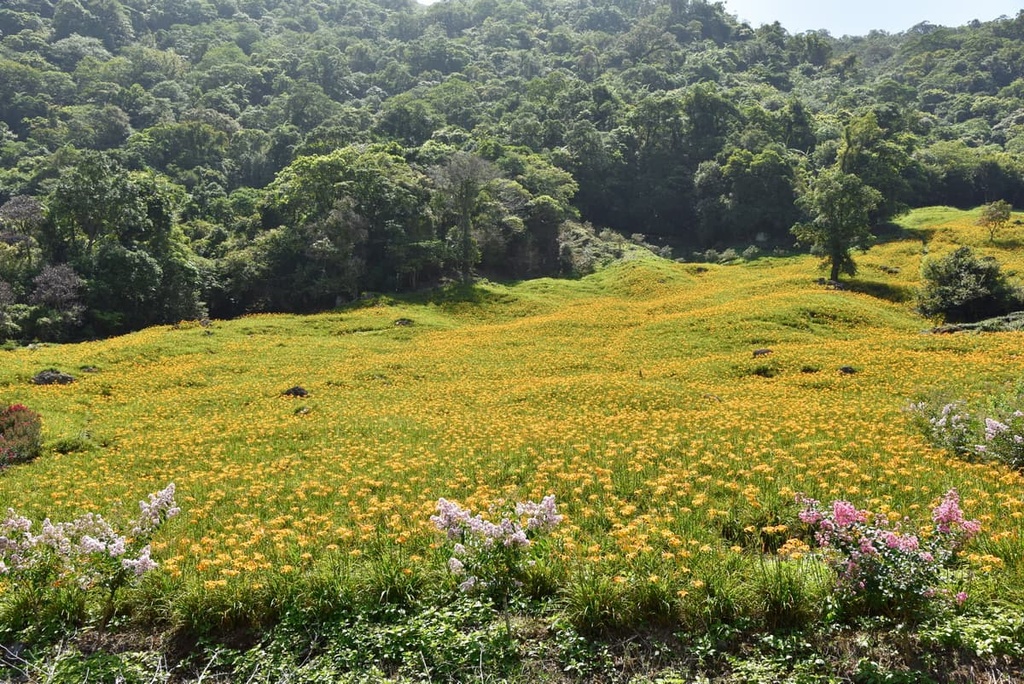 Haian Range, Huadong Coastal Reserve, Taiwan