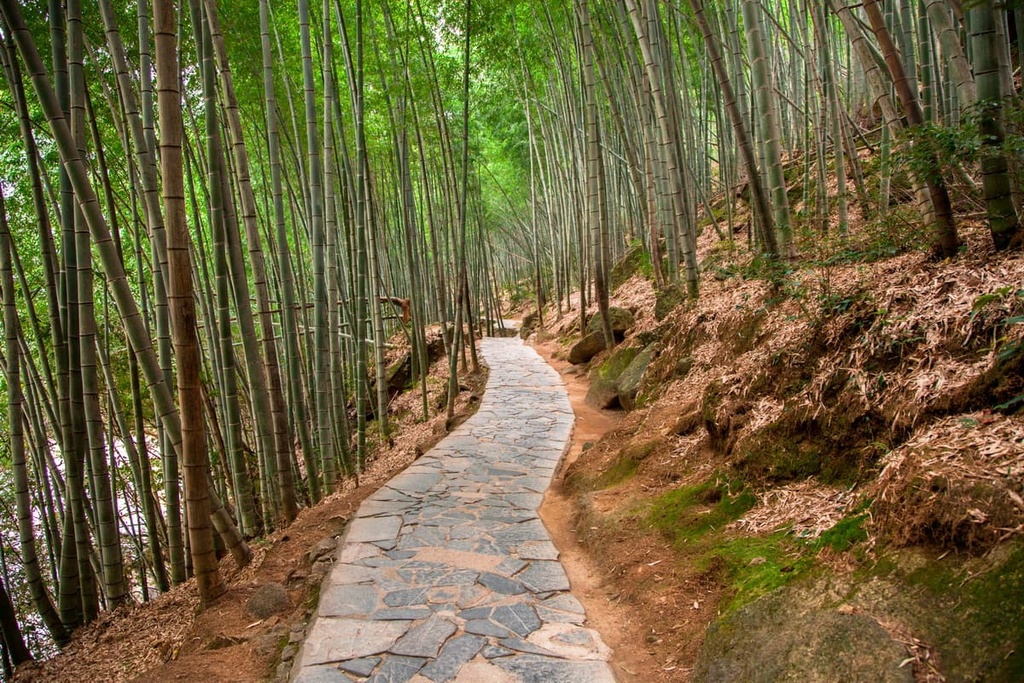 Yungu Zone, Huangshan National Scenic Area, China