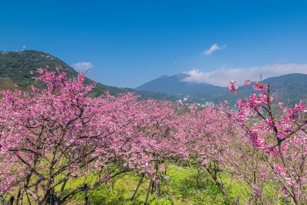 Huangzuishan Ecological Reserve, Taiwan