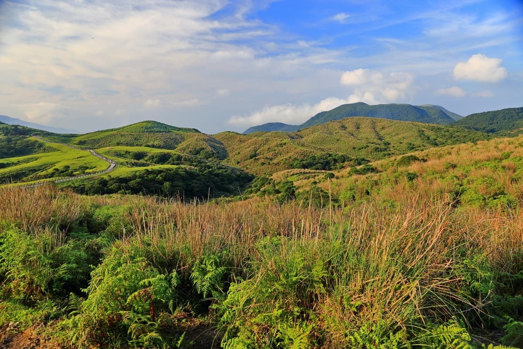 Huangzuishan Ecological Reserve, Taiwan