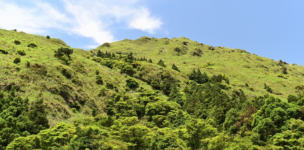 Huangzuishan Ecological Reserve, Taiwan