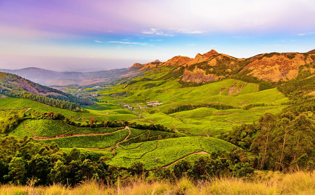 Valley in Kulukumalai in Munnar,  Kerala, India