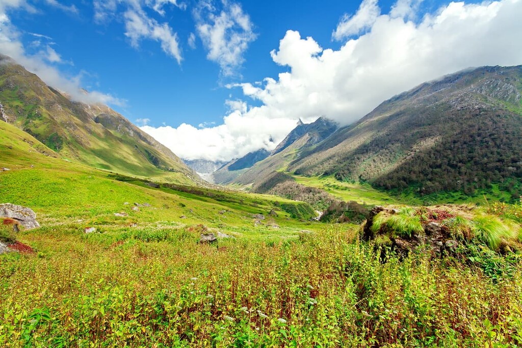 Valley of Flowers National Park, India