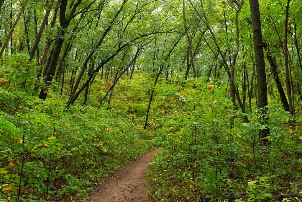 Indiana Dunes National Park, Indiana