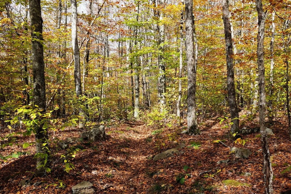 Appalachian, Iron Mountains, Virginia