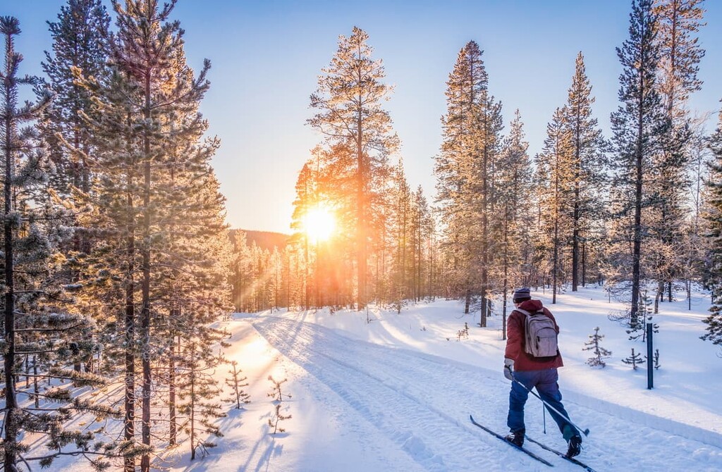 Ski, Isojärvi National Park, Finland
