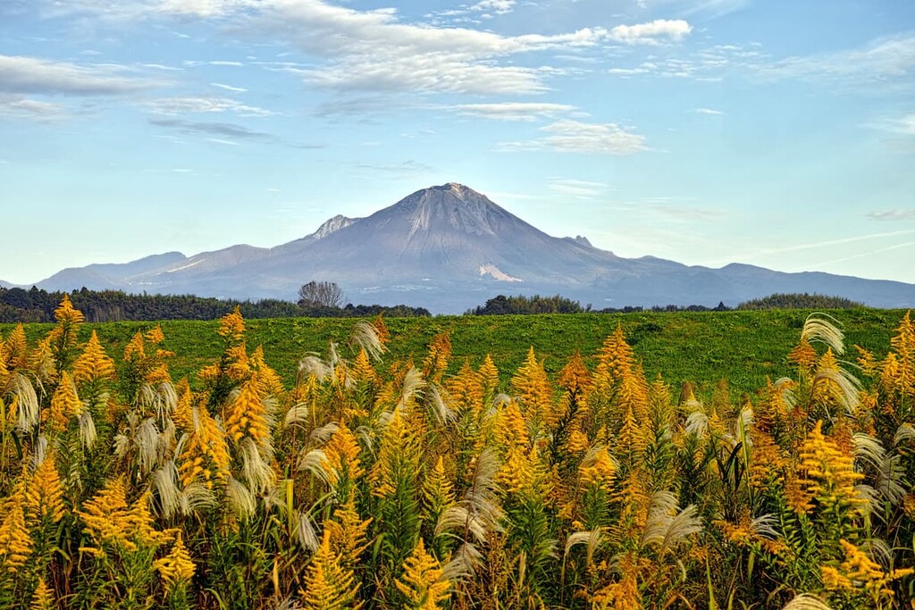 Mt.Daisen and Goldenrod in Tottori, Japan