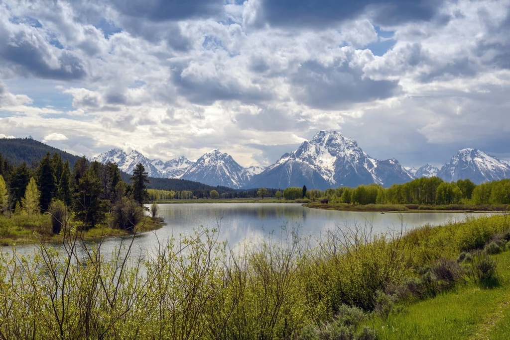 Jedediah Smith Wilderness, Wyoming