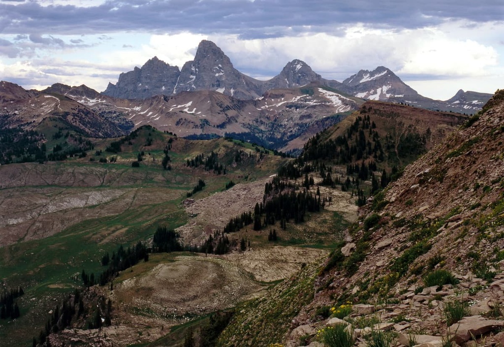 Jedediah Smith Wilderness, Wyoming