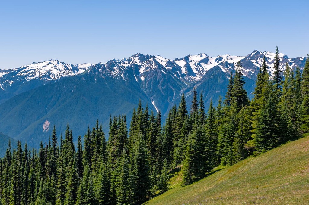 Olympic National Park in Washington. Jefferson County, Washington