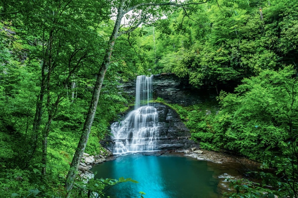 Cascades Trail, Jefferson National Forest Eastern Divide District, Virginia