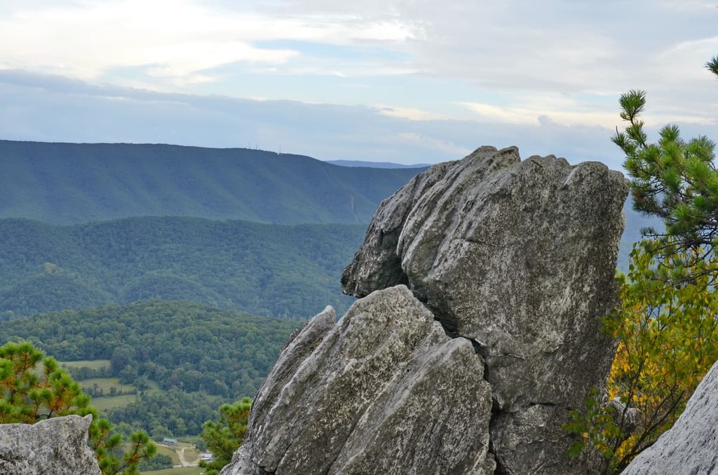 Jefferson National Forest (Eastern Divide district)