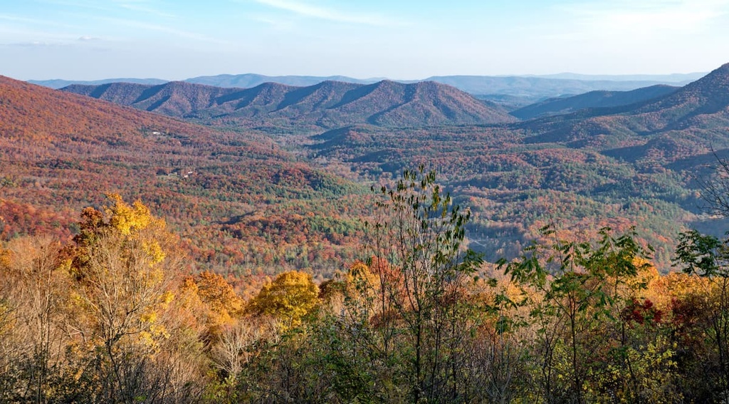 Jefferson National Forest (Eastern Divide district)