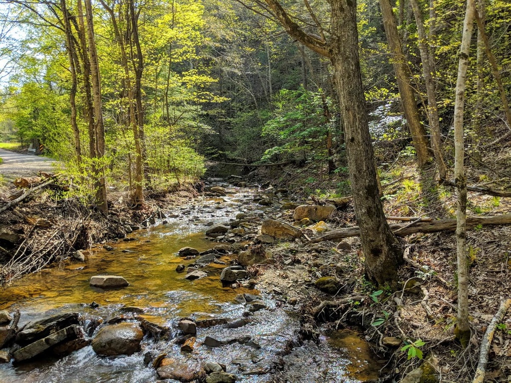 Jefferson National Forest Eastern Divide District, Virginia