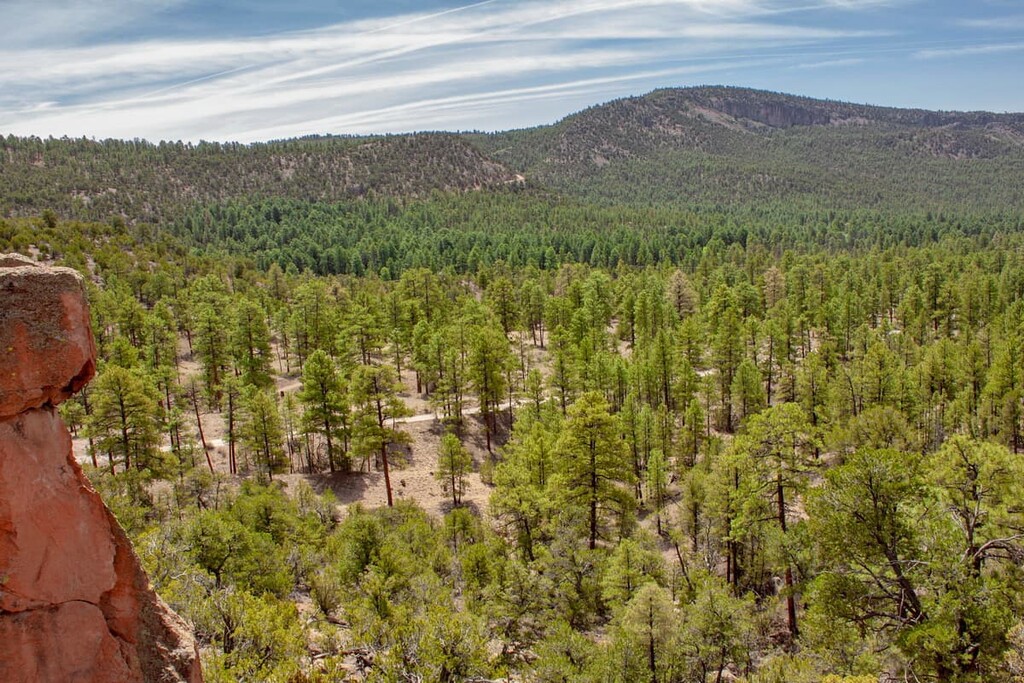 Santa Fe National Forest, Jemez Mountains, New Mexico