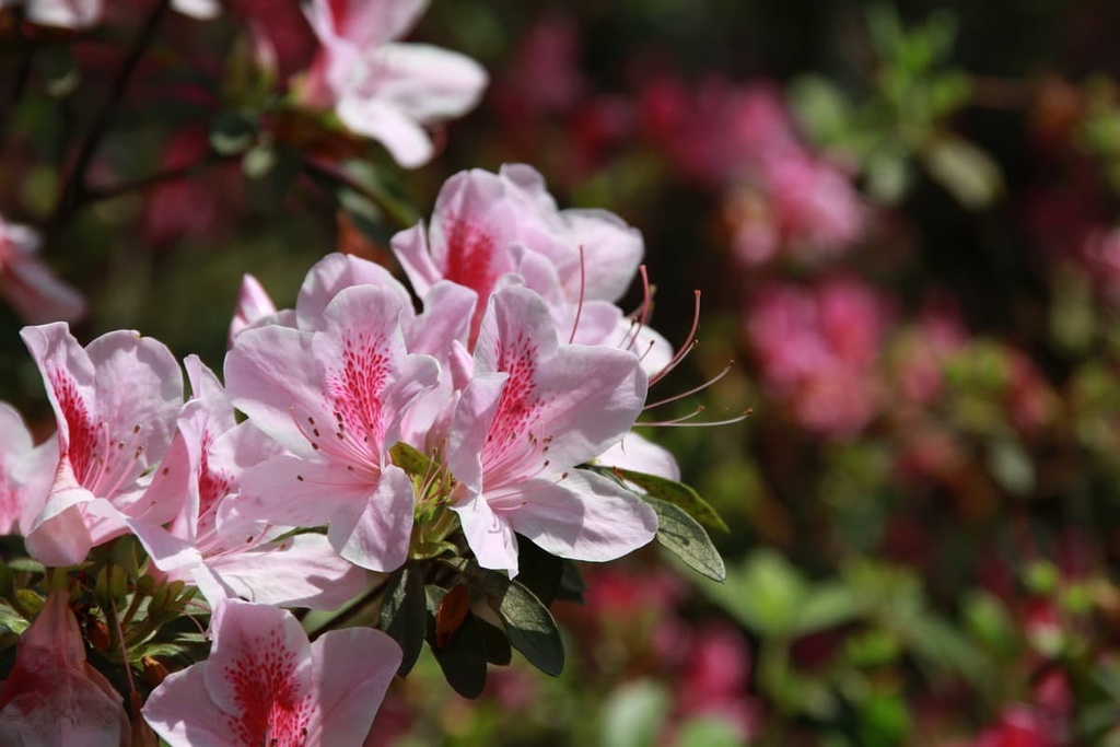 Jianshan Coastal Reserve, Taiwan