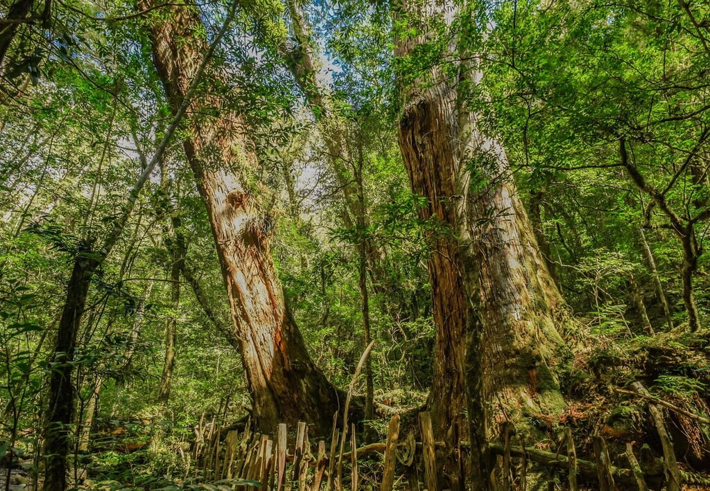 Jiaren Mountain and Madara River Regional Ecological Reserve, Taiwan