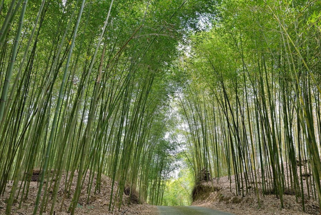 Jiaren Mountain and Madara River Regional Ecological Reserve, Taiwan