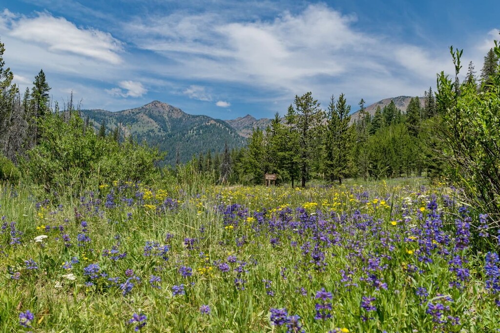 Boulder Mountains, Jim Mclure-Jerry Peak Wilderness, Idaho