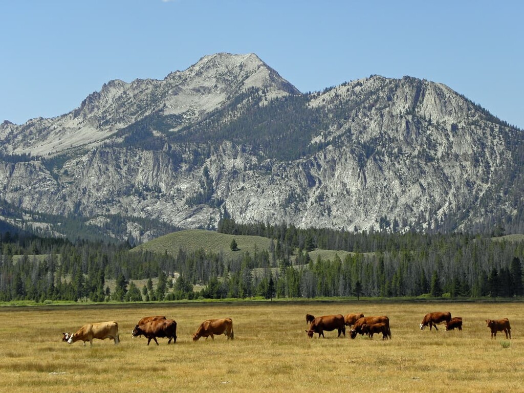 Herd Peak, , Jim Mclure-Jerry Peak Wilderness, Idaho