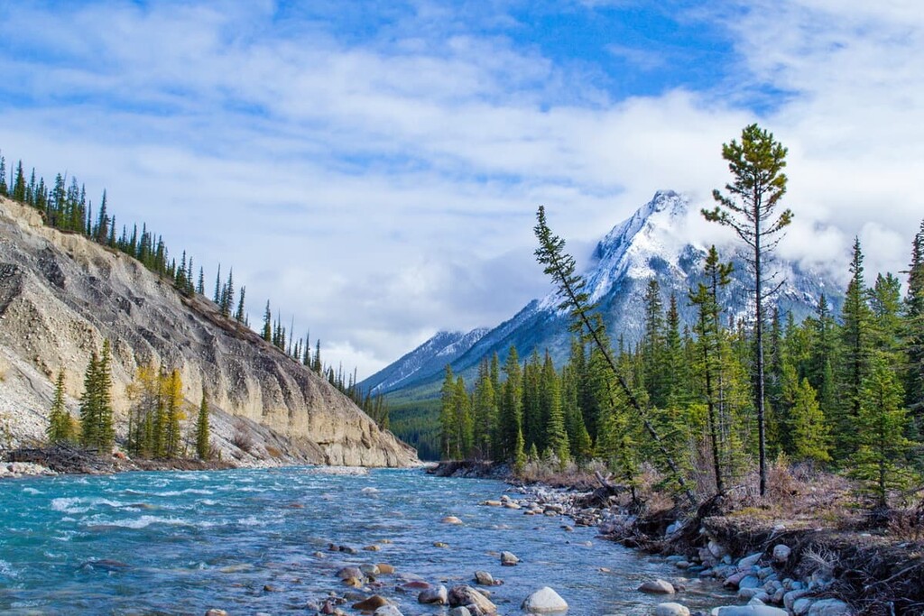 Cline River , Job/Cline Public Land Use Zone