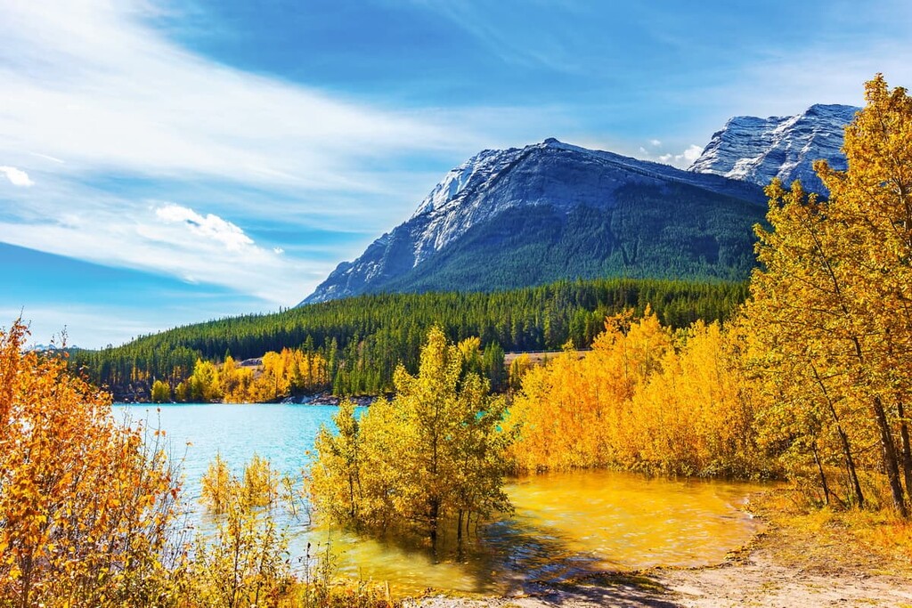 Job/Cline Public Land Use Zone