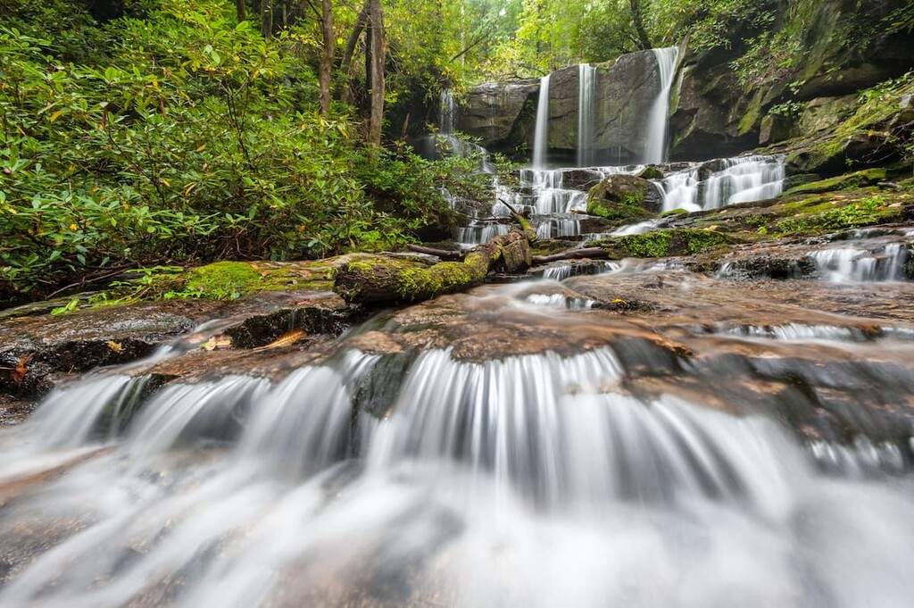 Jocassee Gorges Wildlife Management Area