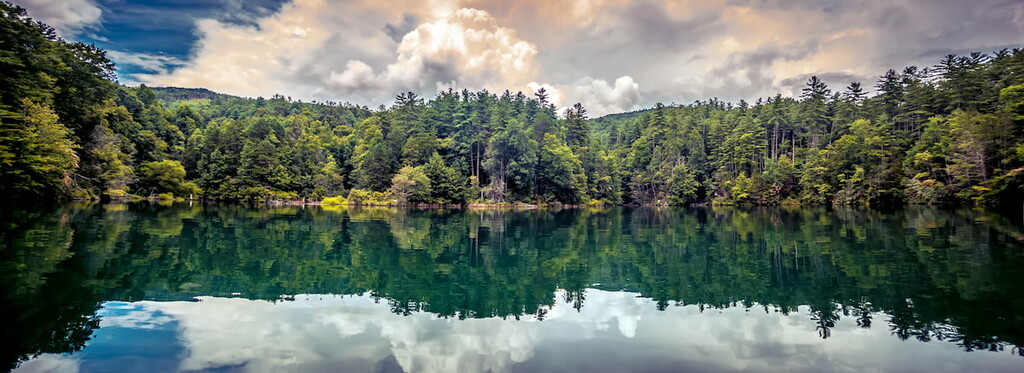 Jocassee Gorges Wildlife Management Area