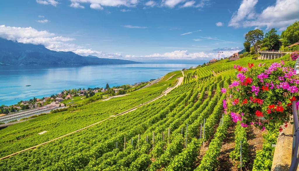 Lake Geneva, Jura Mountains, Switzerland